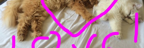 AngryLennox Profile Banner