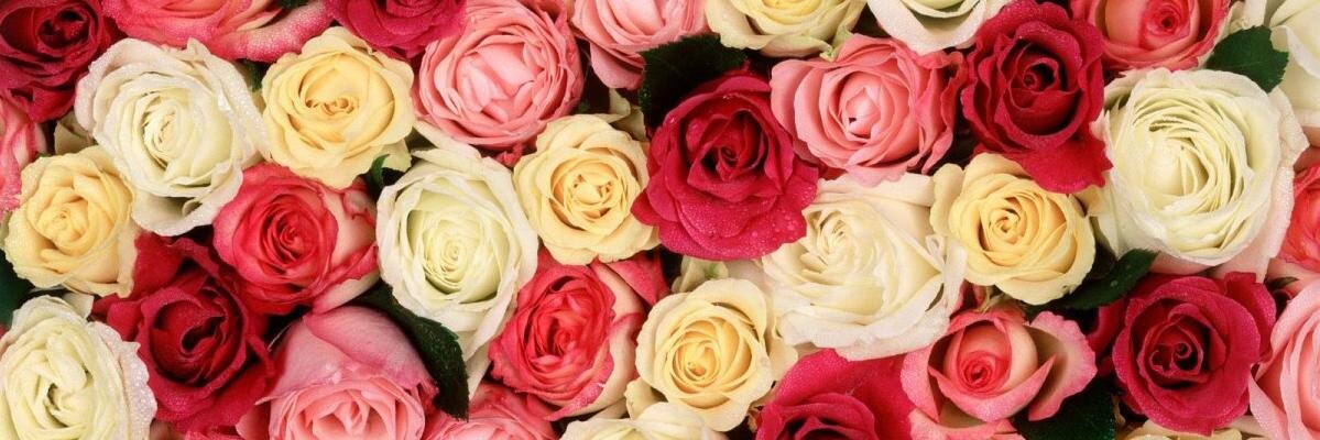Pando4ka357's profile banner image
