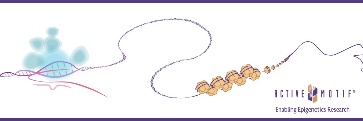 Active Motif banner