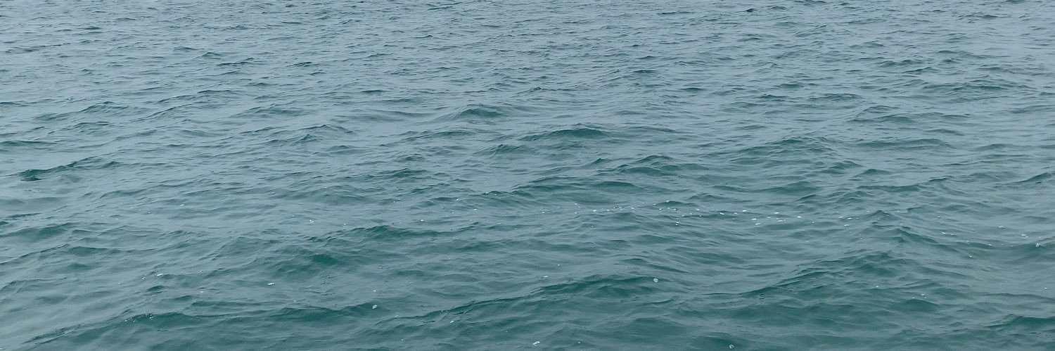 i_icy_'s profile banner image