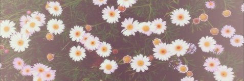 TrilestariPutri's profile banner image