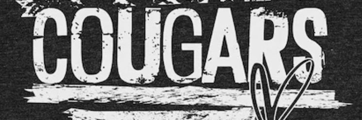 BeardNadia's profile banner image