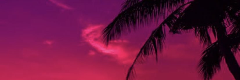 princessofmande's profile banner image