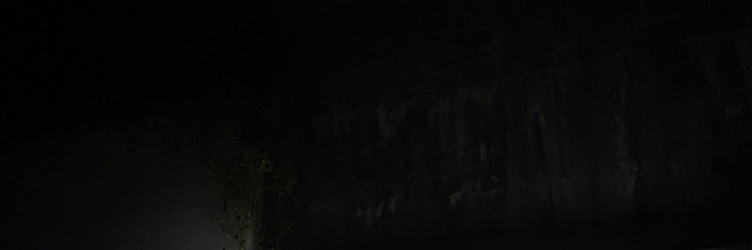 ningwye's profile banner image