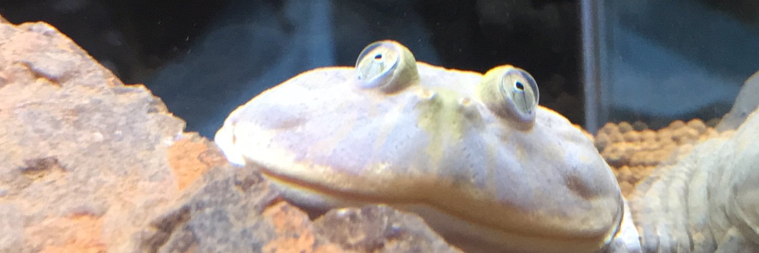 jugenyanman's profile banner image