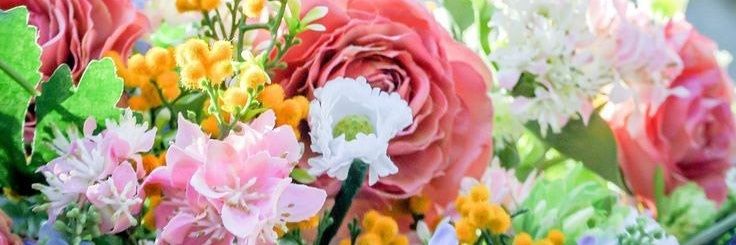 KatyaGadaeva's profile banner image