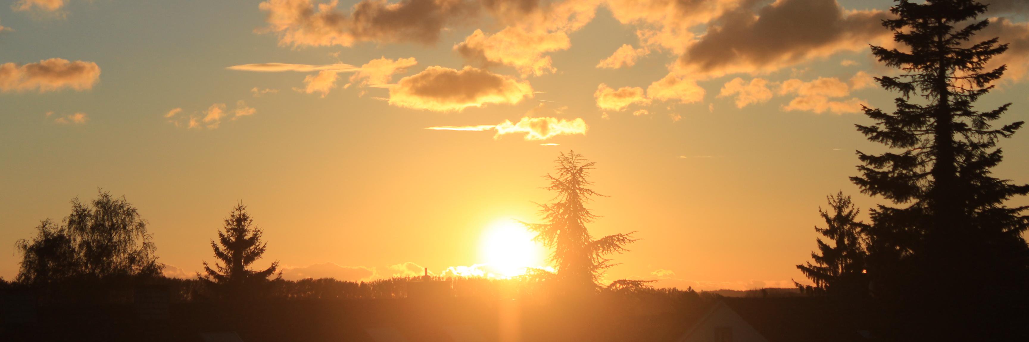 appeltaat's profile banner image