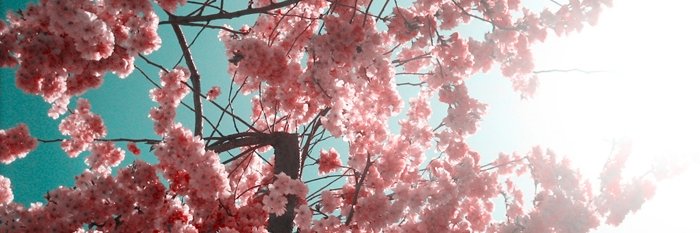 clara02090's profile banner image
