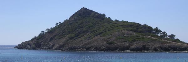 cocochall Profile Banner