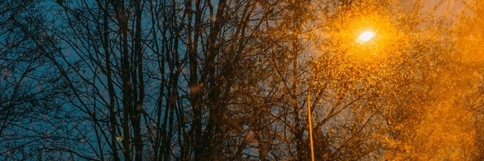 Eugenia Balysheva banner