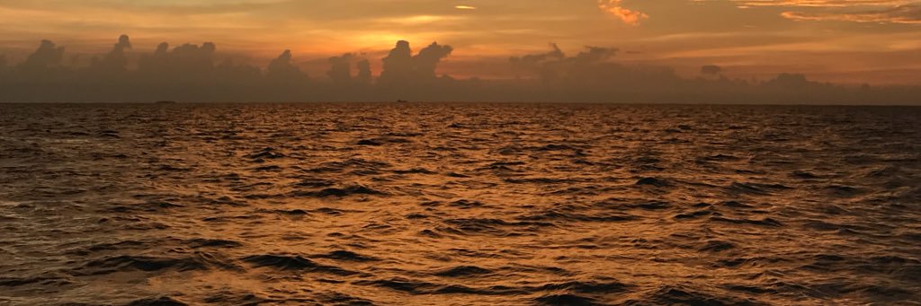 Shaahyz's profile banner image