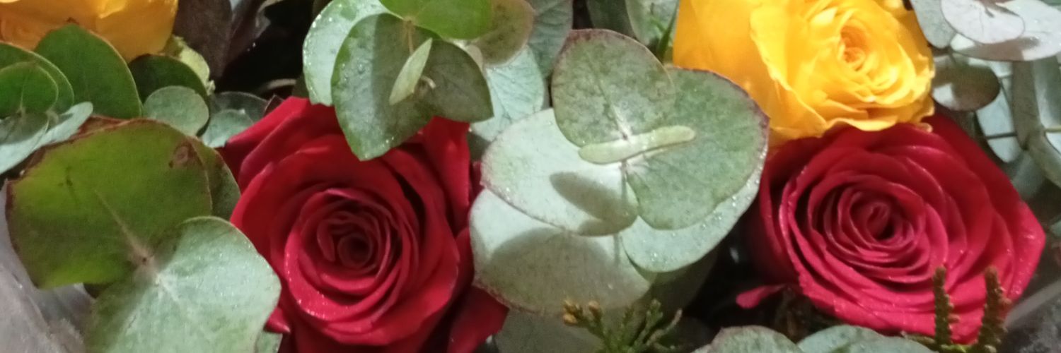JuliiidelaCruz's profile banner image