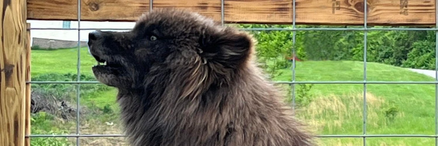 southernohiowolf banner