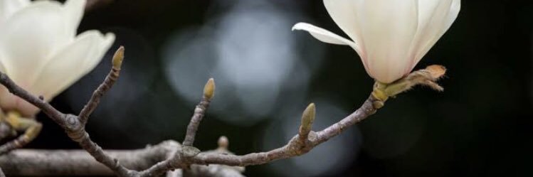 14yesSw's profile banner image