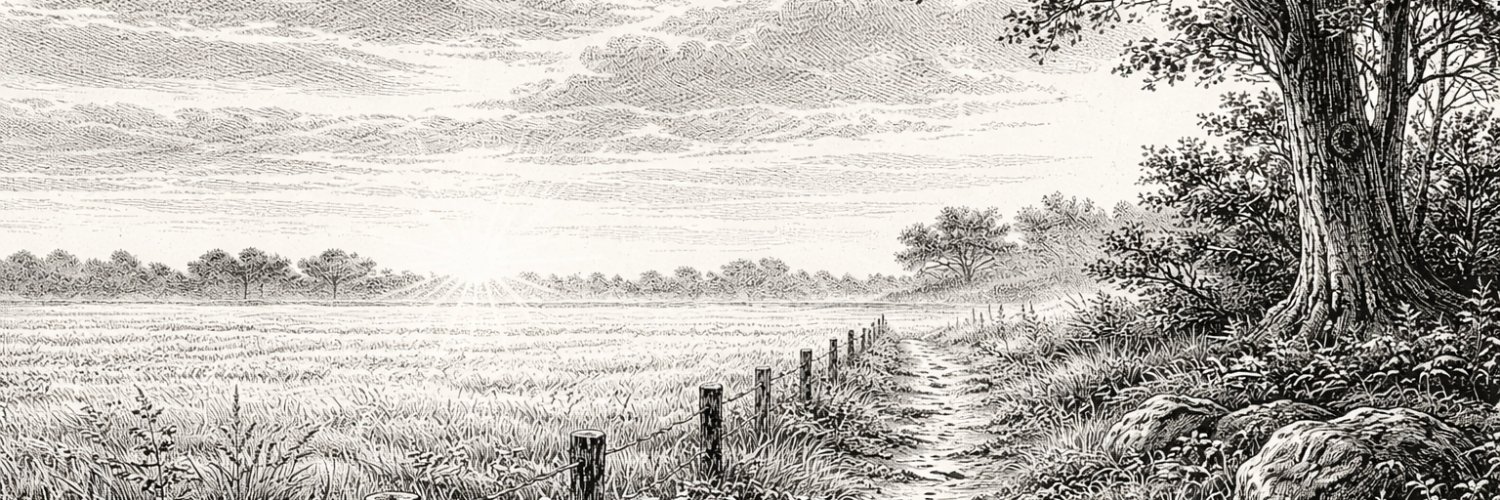 ivanmaierg banner