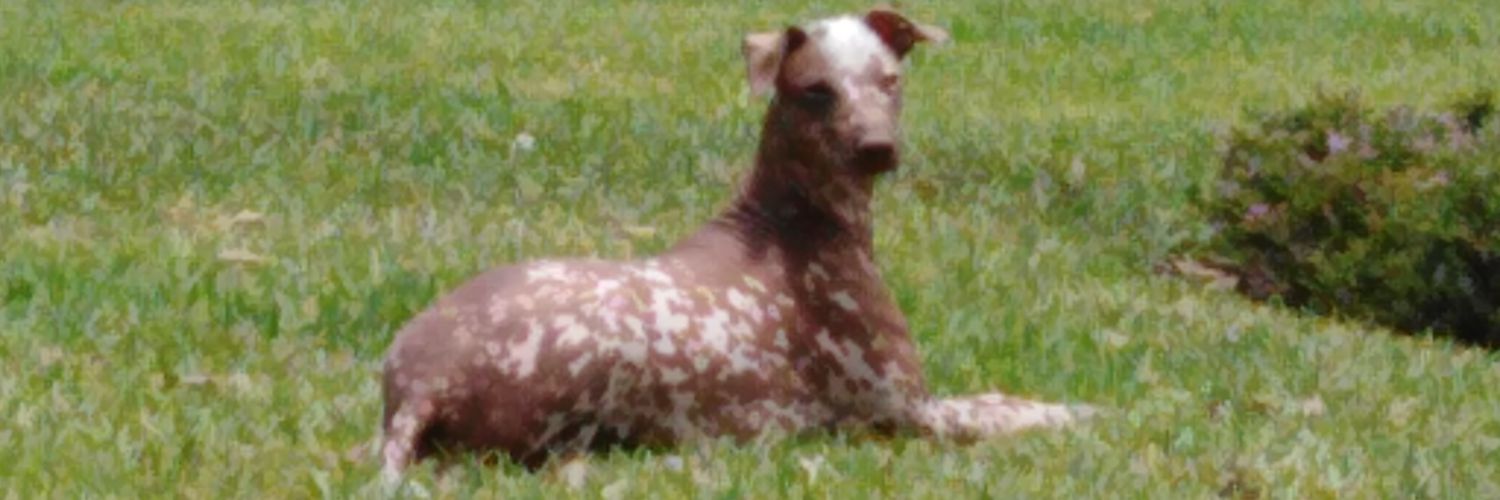 Fiorella BB ❤️ banner