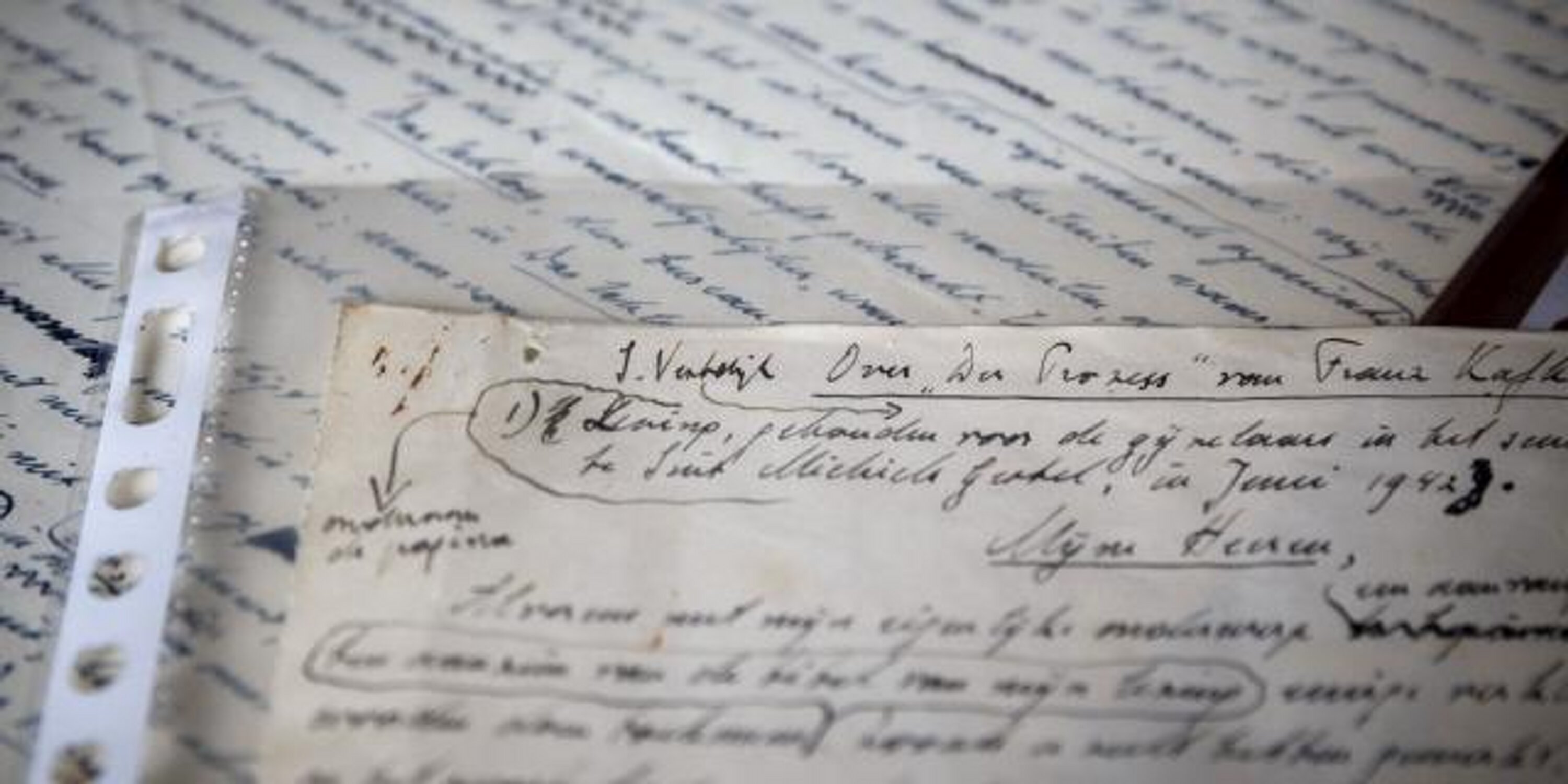 Wilbert van Walstijn banner