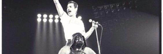 Blackbelt Yellobelli banner