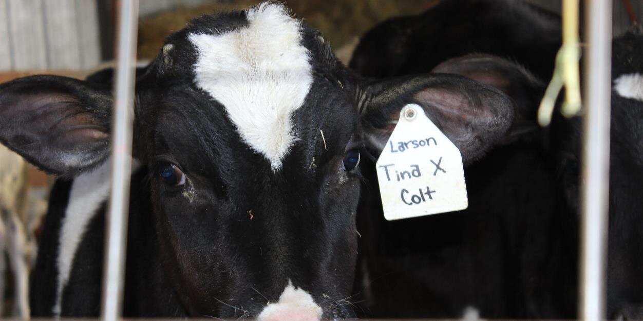Larson_farm's profile banner image