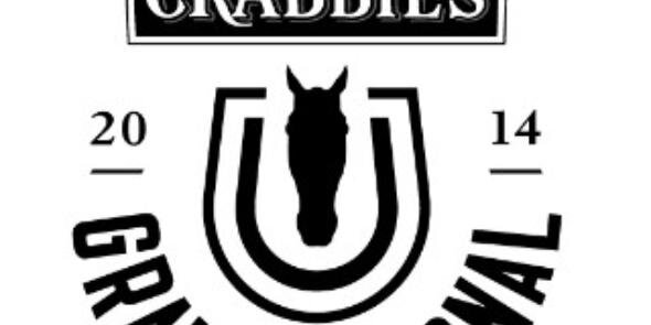 Grand National 2014 banner