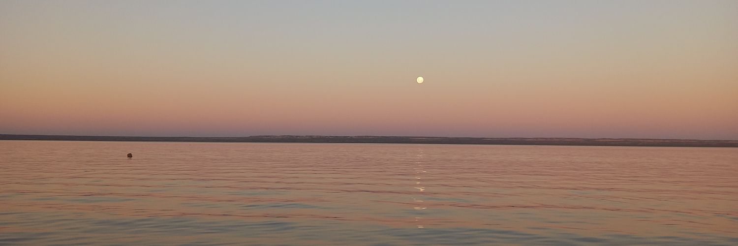 chocanojuli's profile banner image