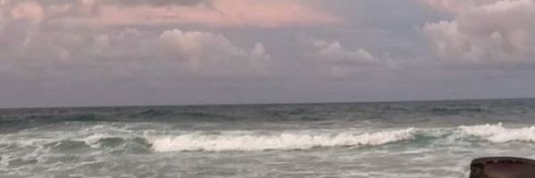 Sawsan_F_'s profile banner image
