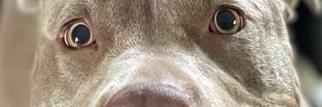 the_75's profile banner image