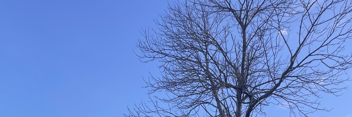 jennnylewis's profile banner image