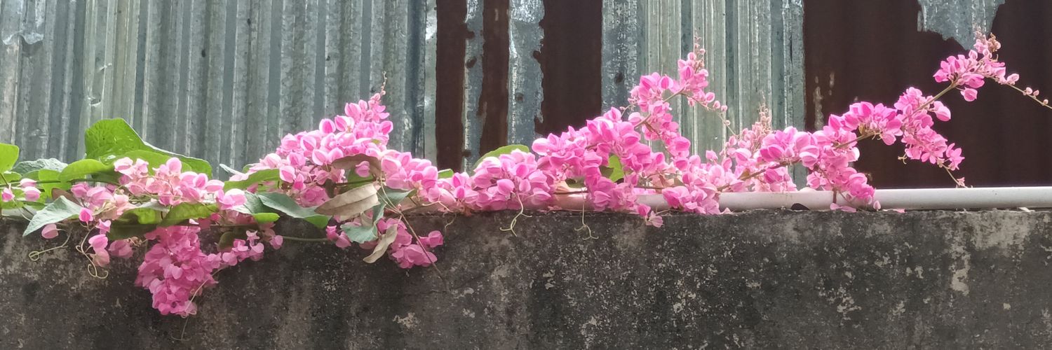 vuthaya's profile banner image