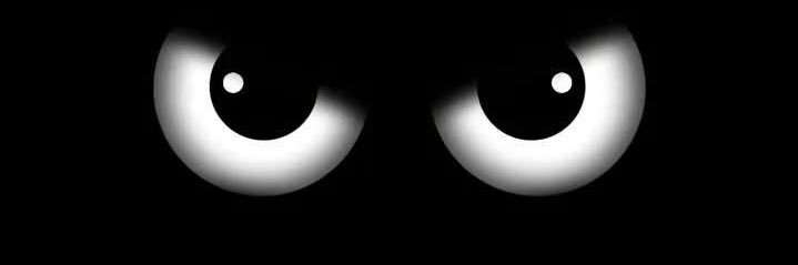 cookshanks's profile banner image