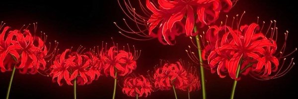 NoelSznn Profile Banner