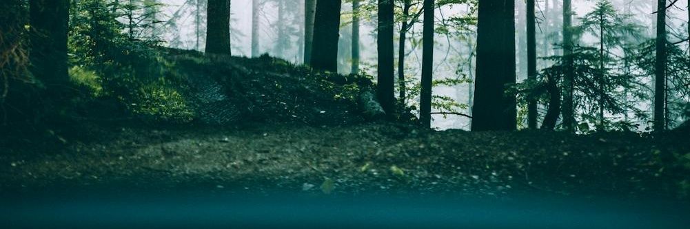 zhilaca's profile banner image