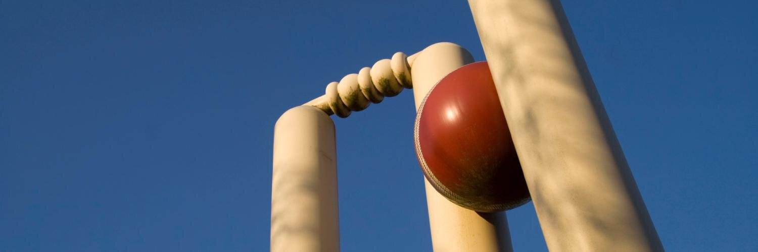 TW Royals Cricket banner