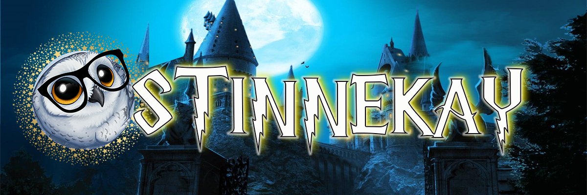 StinneKay banner