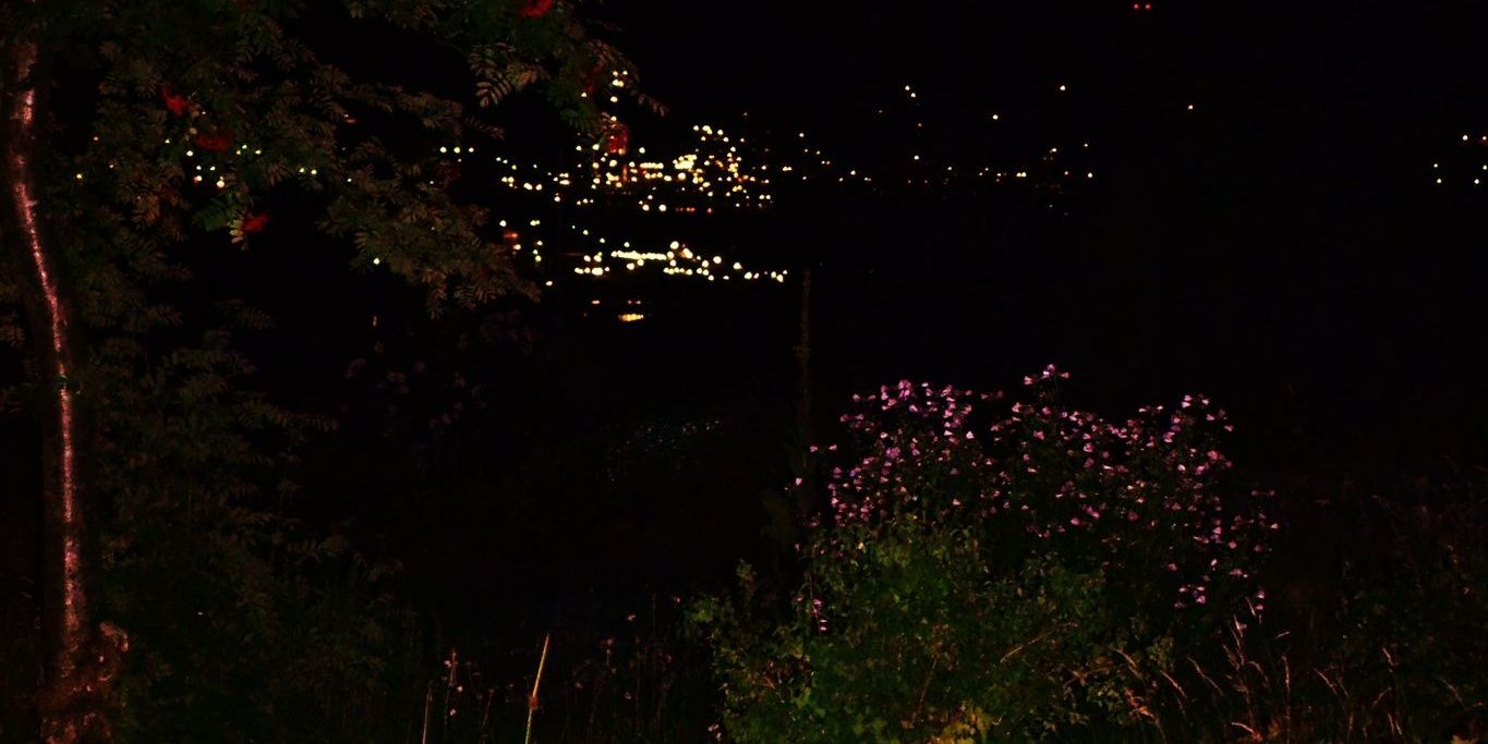 LindTree's profile banner image