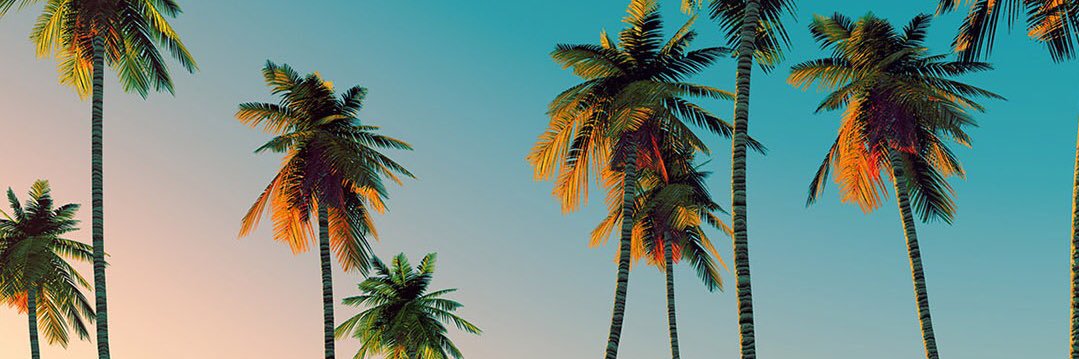 mhelmers15's profile banner image