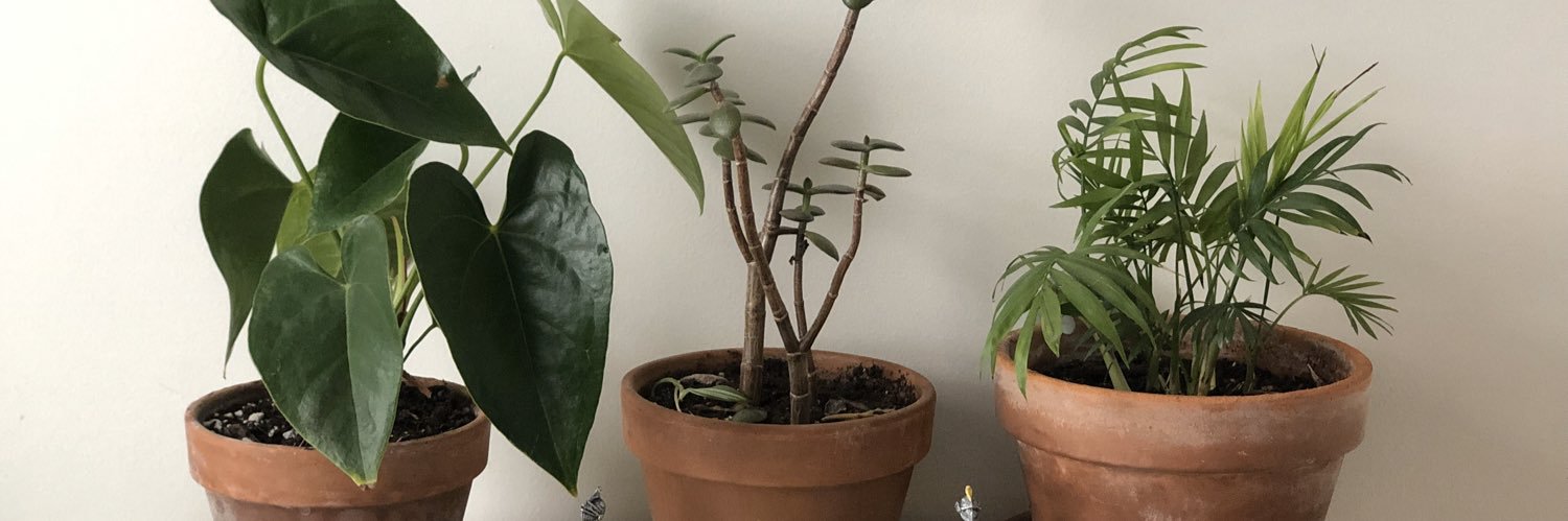 Gayatri Dabadghao banner