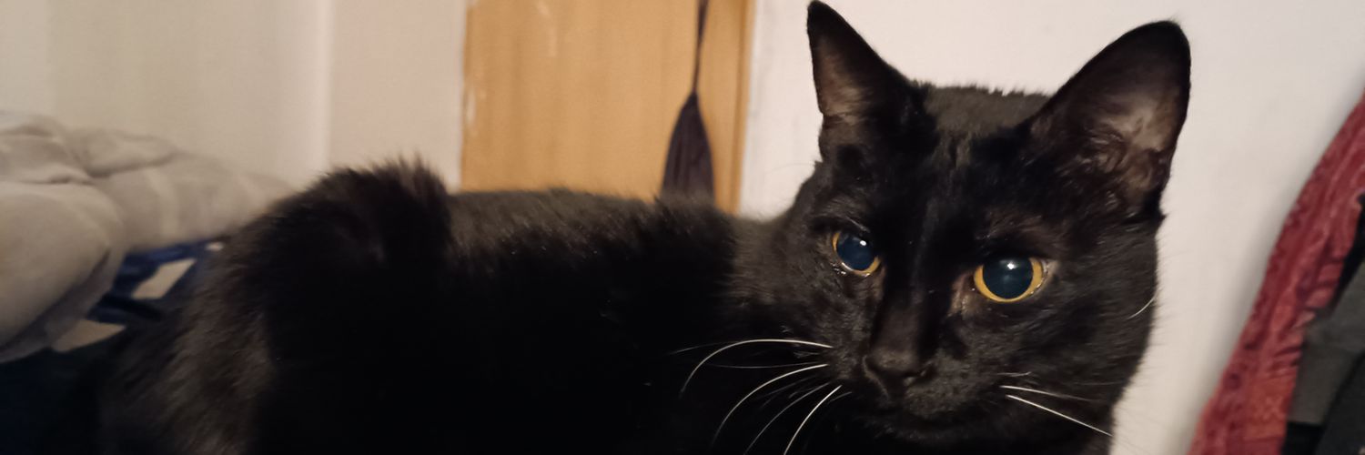 Fernanda_75_'s profile banner image