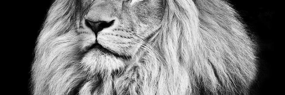 Shivam4142's profile banner image