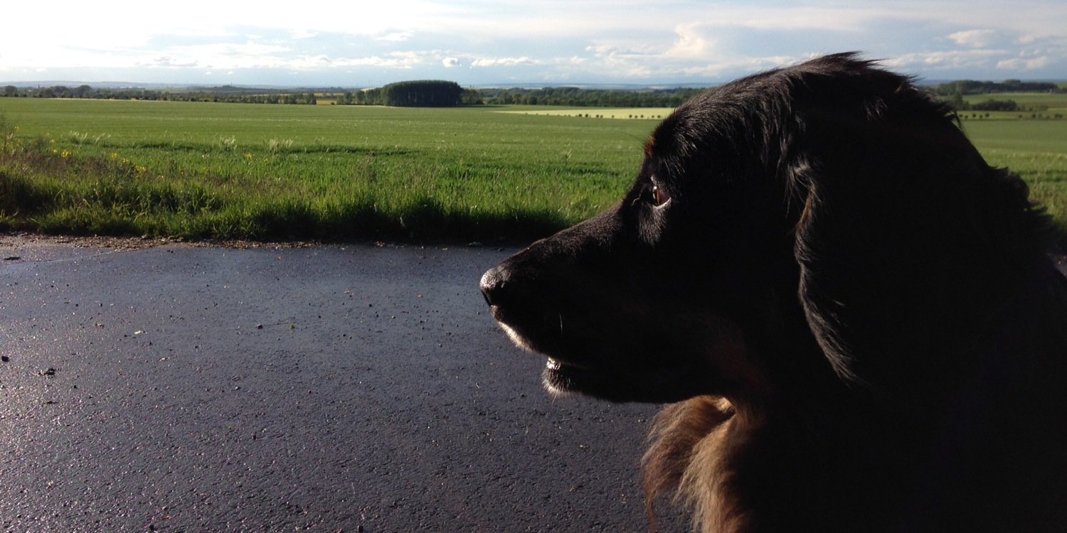 sebster2014's profile banner image