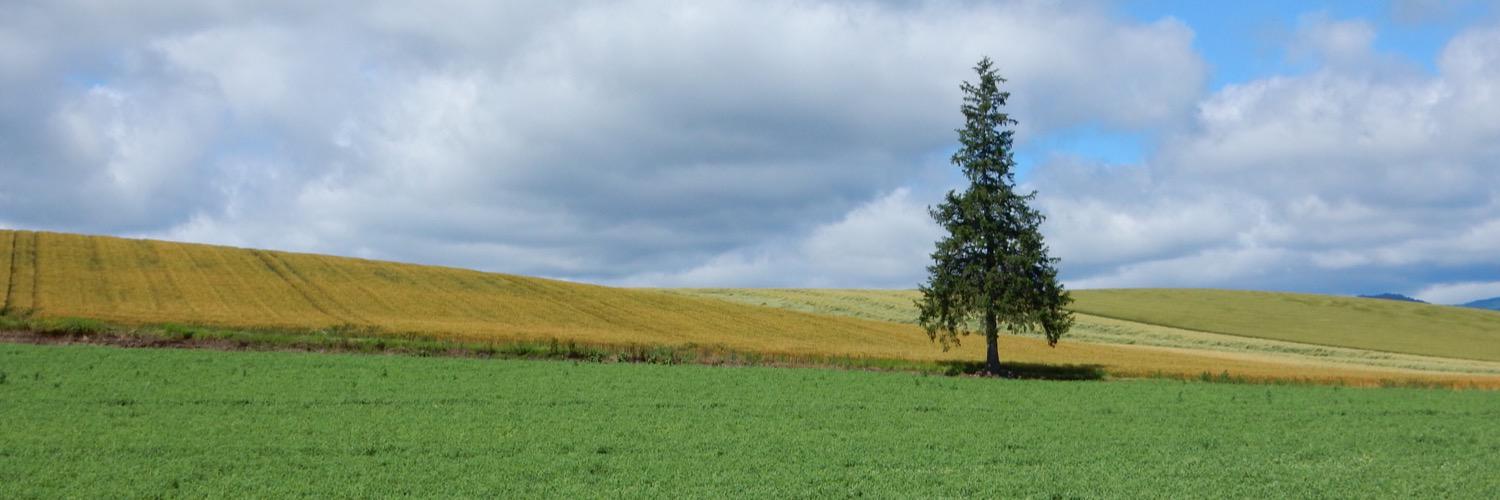 VTInvestorJP's profile banner image