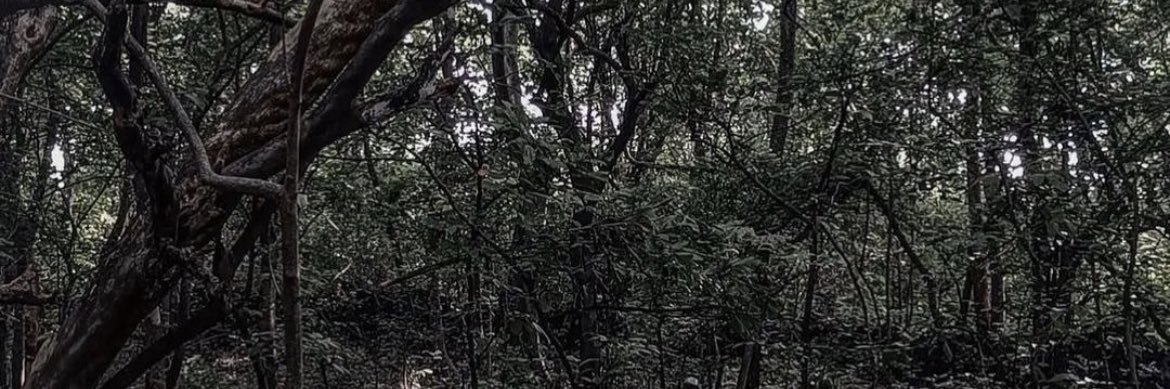 ethicalhaxter's profile banner image