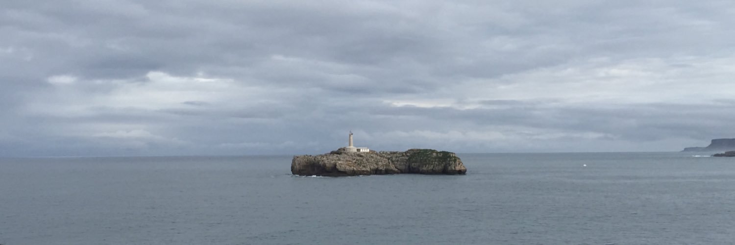 Santiago Abascal banner