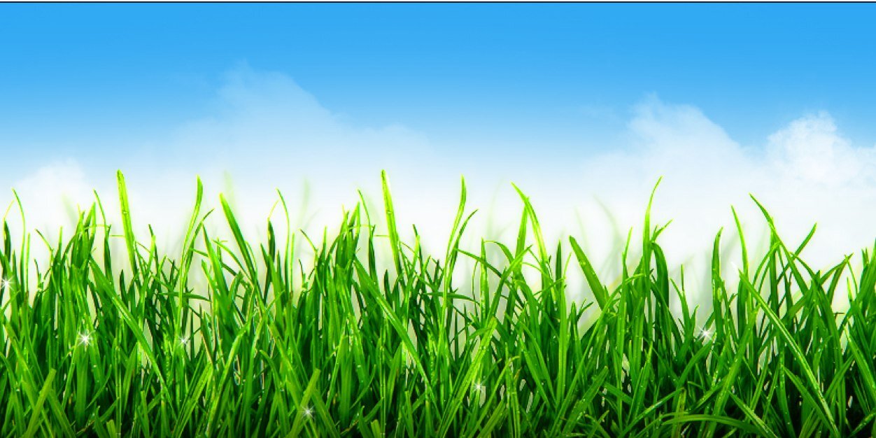 NotoreGroup's profile banner image