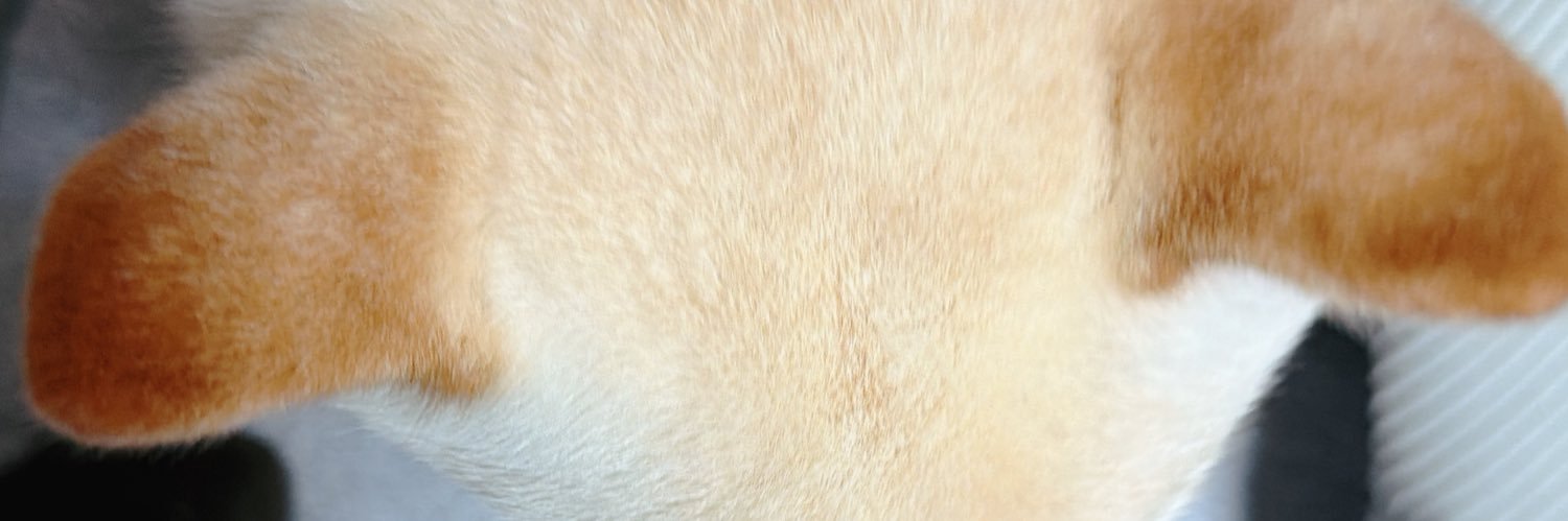yz_nico's profile banner image