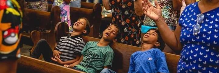 O Castanha 👨🏽‍🔬 banner