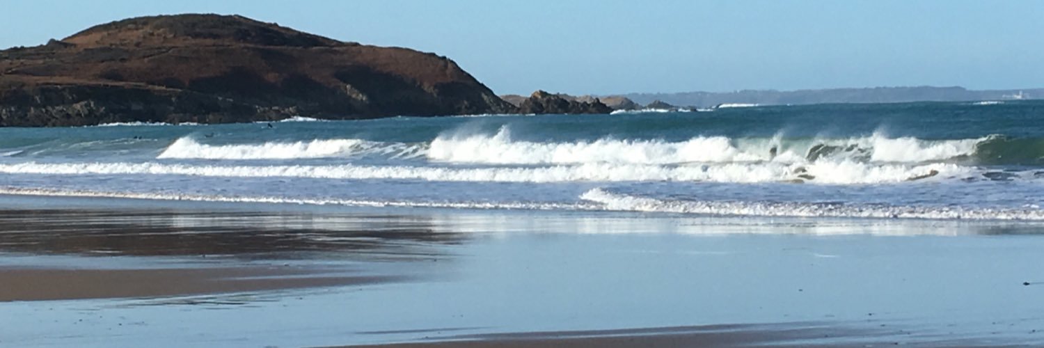 Bénédicte David banner