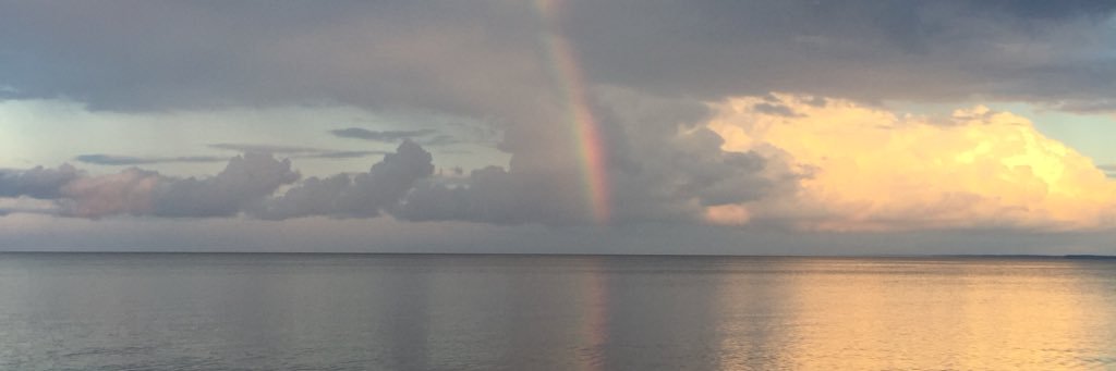 HOPHEAD81's profile banner image