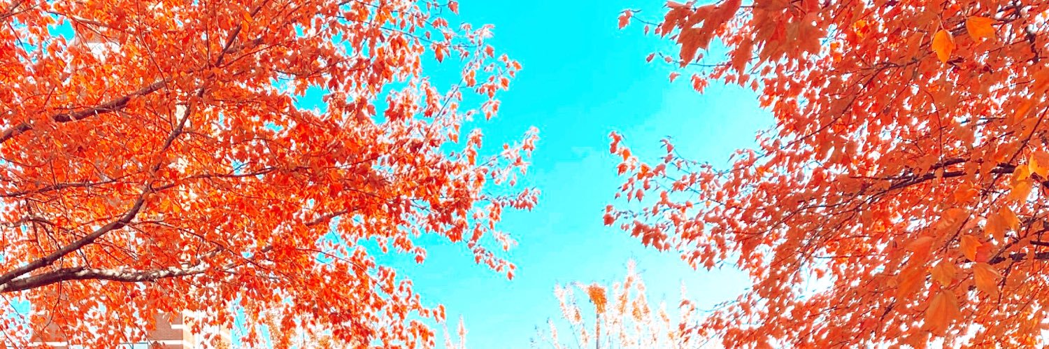Anboyd15's profile banner image