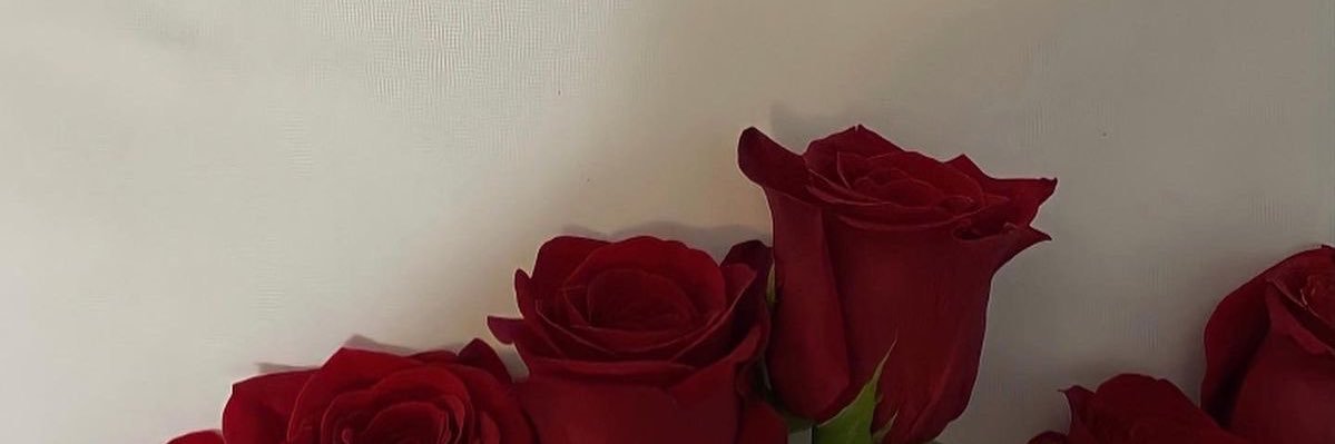 TyranyN's profile banner image